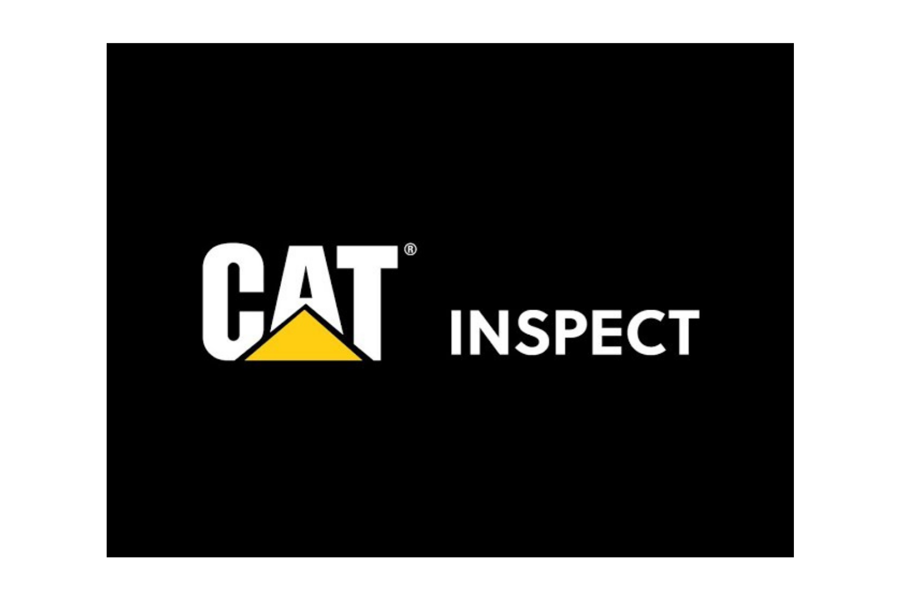 Cat Inspect